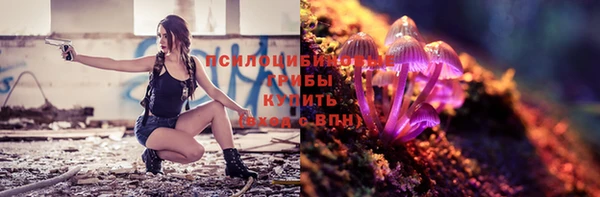 сатива Наволоки