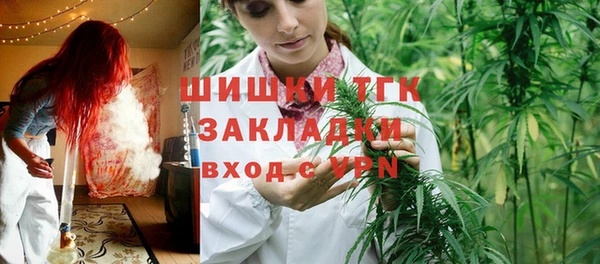 сатива Наволоки