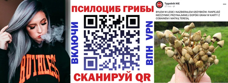 нарко площадка как зайти  MEGA ссылки  Советск  Галлюциногенные грибы Cubensis 